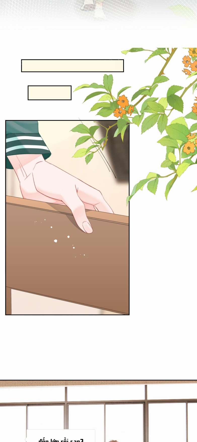 Tôi Và Ảnh Chụp Không Giống Nhau 22 trang 5