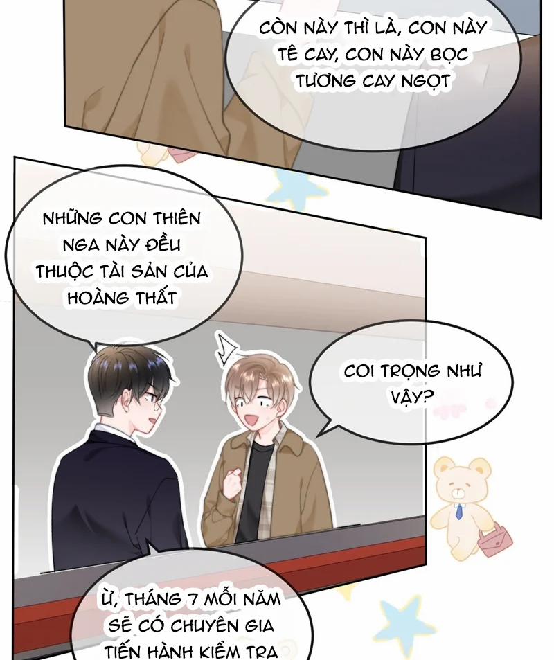 Tôi Và Ảnh Chụp Không Giống Nhau 45 trang 18