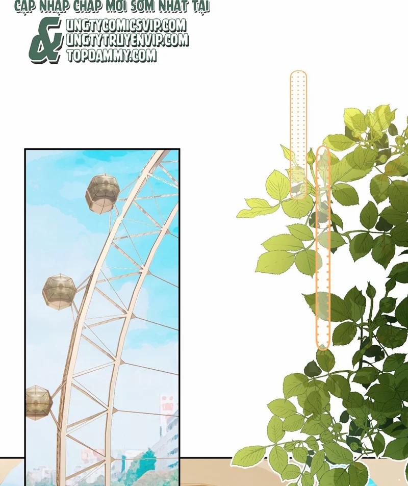 Tôi Và Ảnh Chụp Không Giống Nhau 45 trang 20