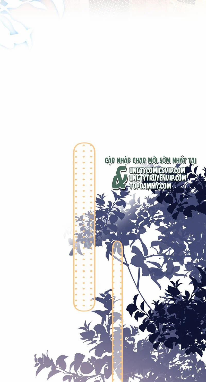 Tôi Và Ảnh Chụp Không Giống Nhau 46 trang 17