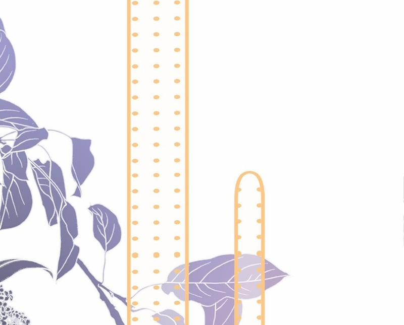 Tôi Và Ảnh Chụp Không Giống Nhau 48 trang 13