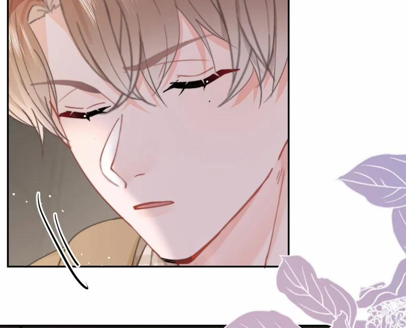 Tôi Và Ảnh Chụp Không Giống Nhau 48 trang 15