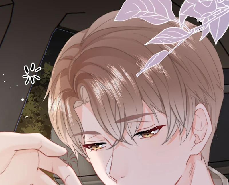 Tôi Và Ảnh Chụp Không Giống Nhau 48 trang 16