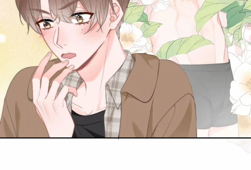 Tôi Và Ảnh Chụp Không Giống Nhau 48 trang 66