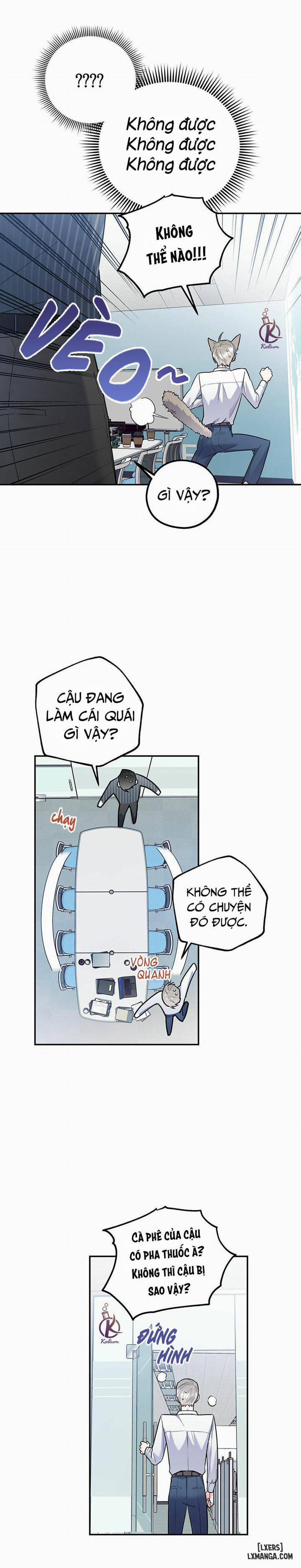 Tôi với cậu không thể như vậy được 17 trang 6