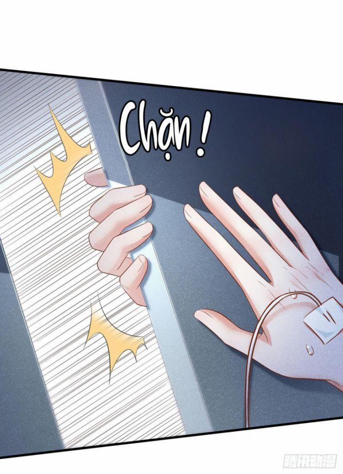 Tôi Với Hình Mẫu Lý Tưởng Lìa Trần Rồi! 28 trang 1