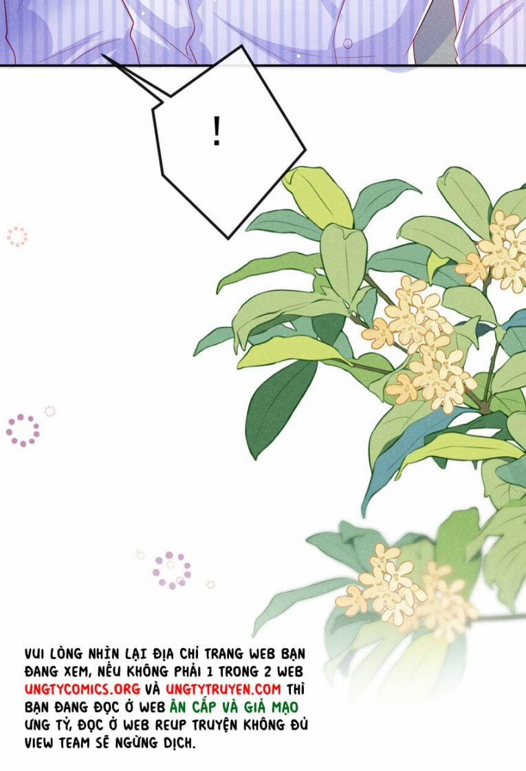 Tôi Với Hình Mẫu Lý Tưởng Lìa Trần Rồi! 61 trang 9