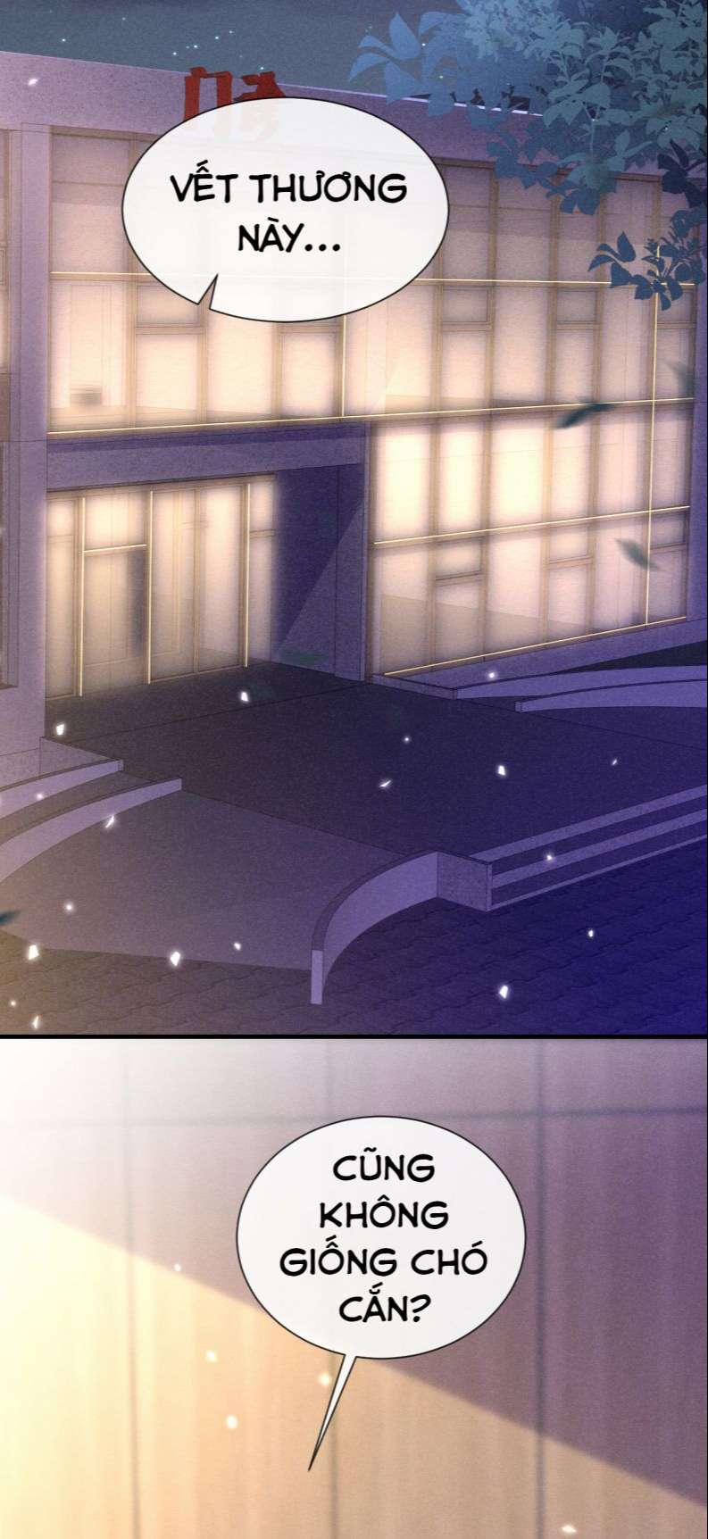 Tôi Với Hình Mẫu Lý Tưởng Lìa Trần Rồi! 80 trang 29