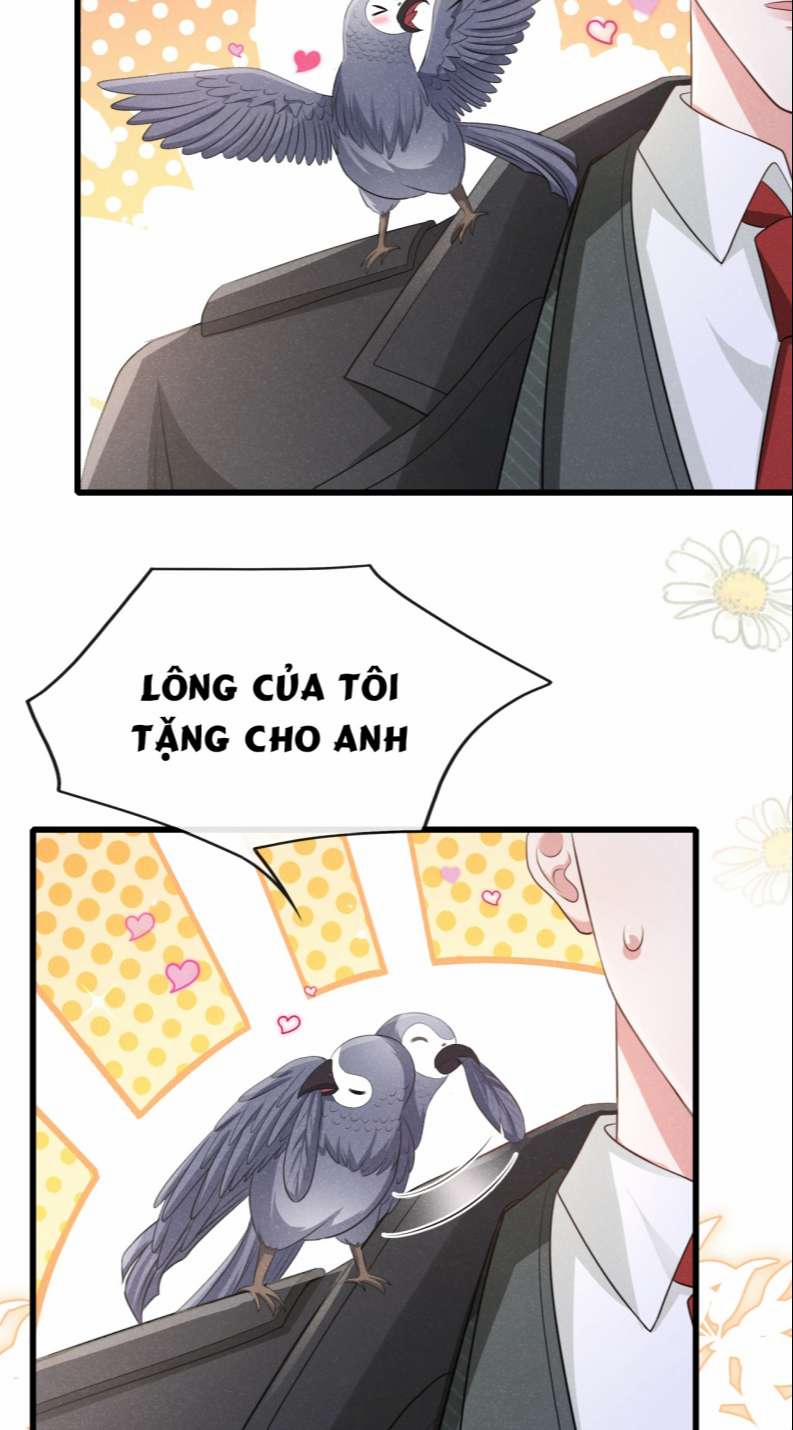 Tôi Với Hình Mẫu Lý Tưởng Lìa Trần Rồi! 93 trang 11