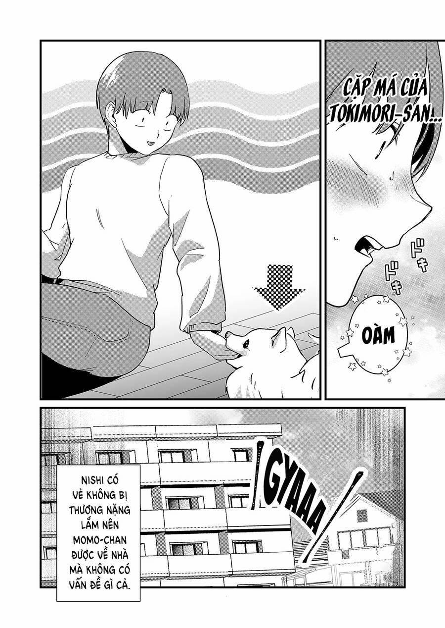 Tokimori-San Chẳng Chút Phòng Bị!! 26 trang 12