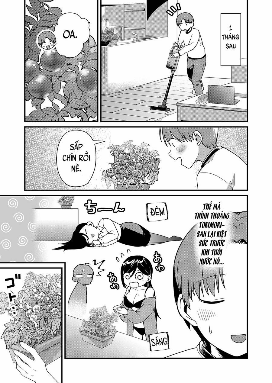 Tokimori-San Chẳng Chút Phòng Bị!! 40 trang 5