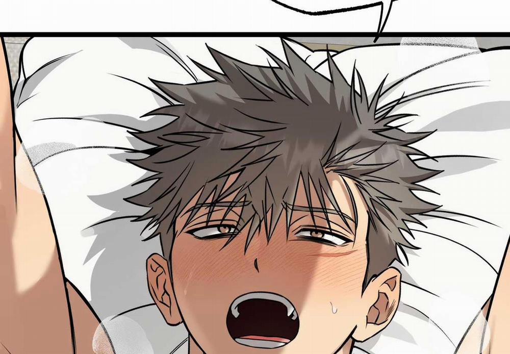 Tôn Kính Và Khát Khao 10 trang 20