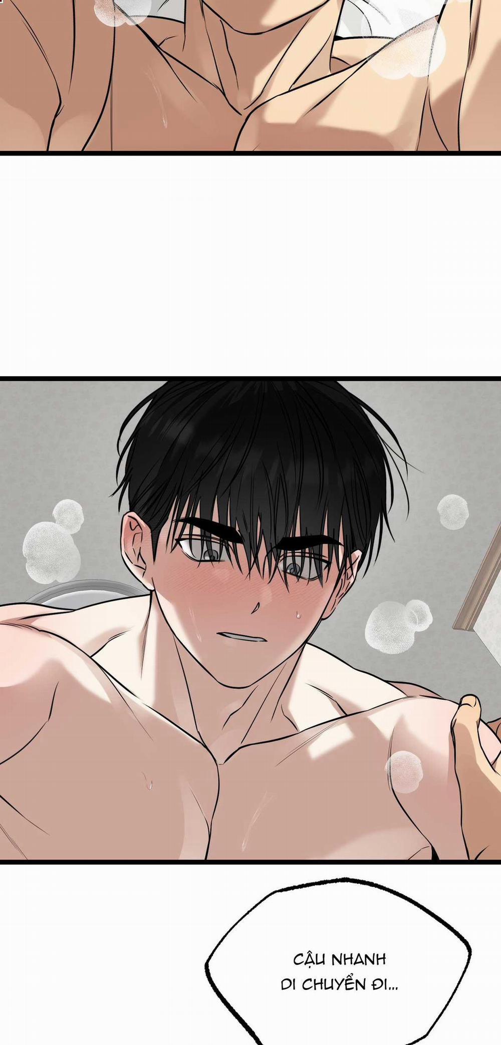 Tôn Kính Và Khát Khao 10 trang 21