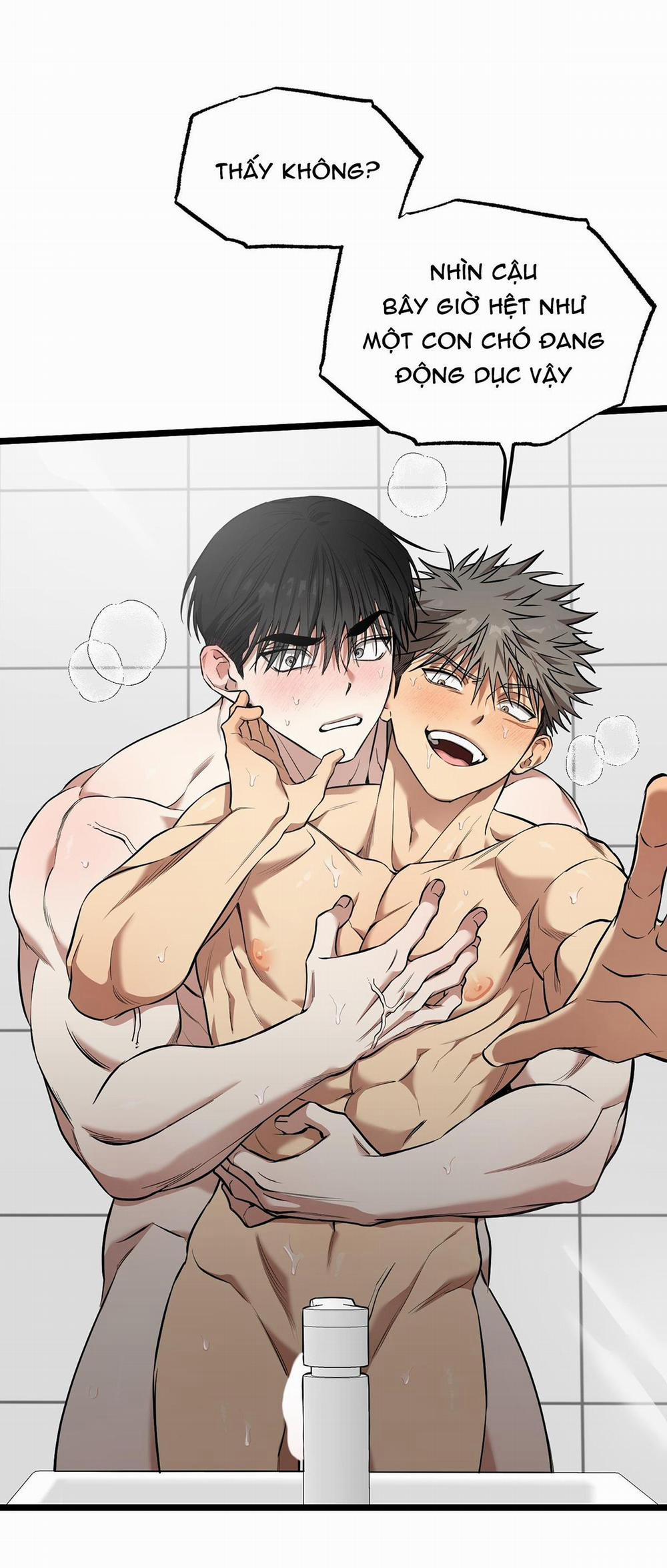 Tôn Kính Và Khát Khao 11 trang 14