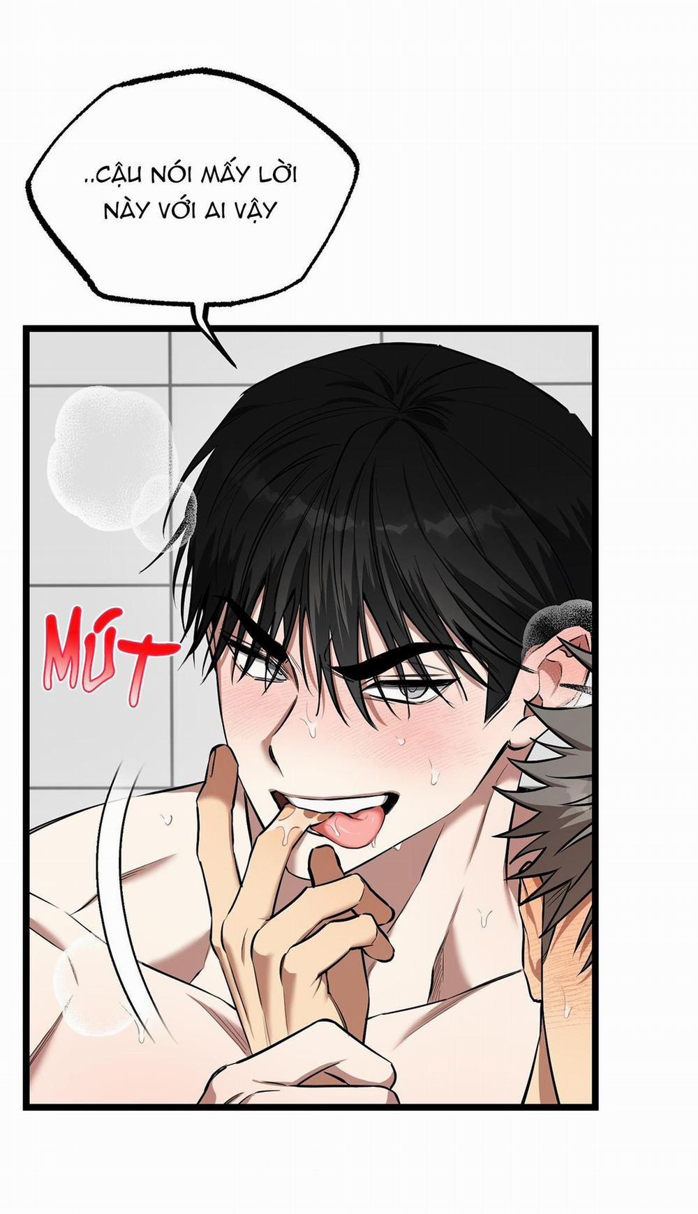 Tôn Kính Và Khát Khao 11 trang 15