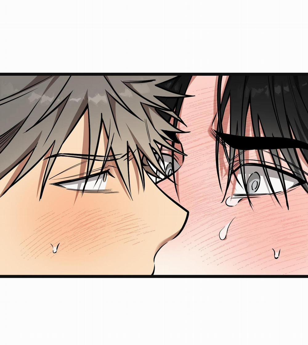 Tôn Kính Và Khát Khao 14 trang 26