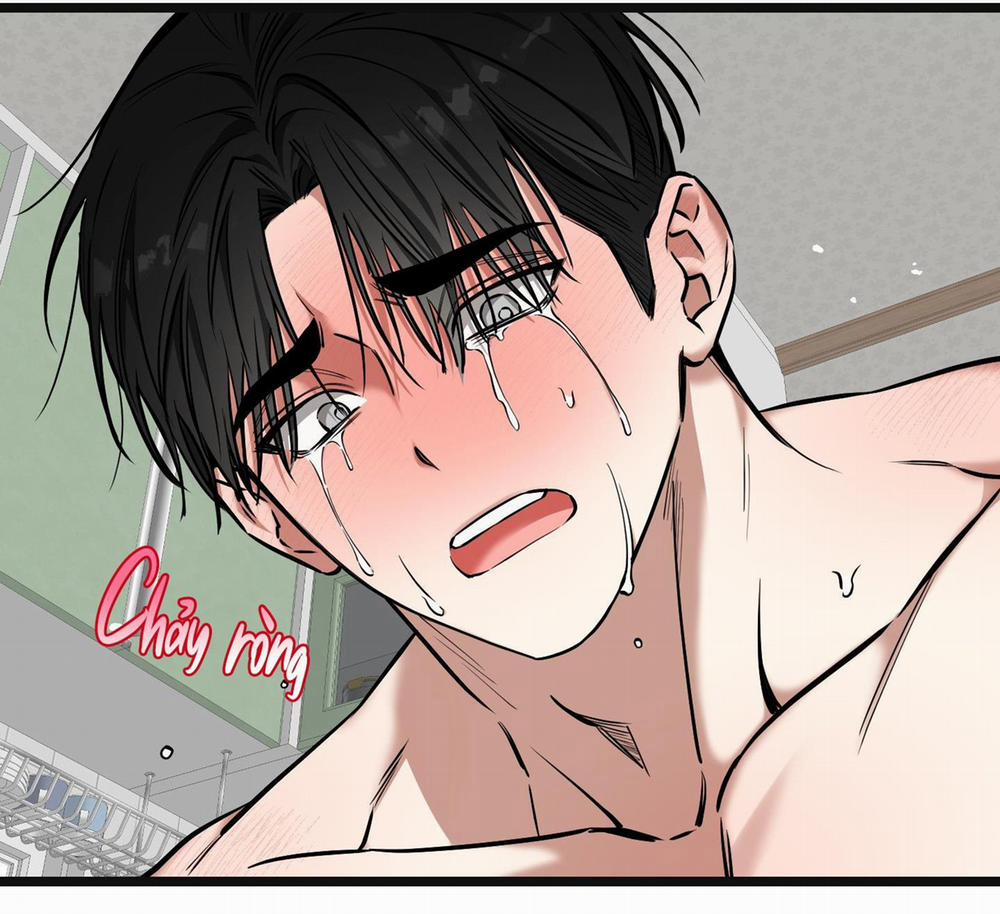 Tôn Kính Và Khát Khao 14 trang 54