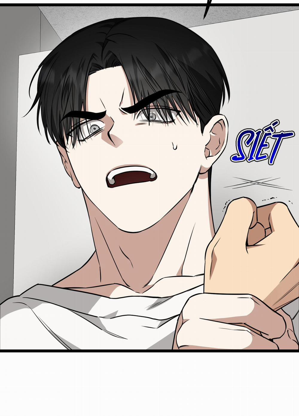 Tôn Kính Và Khát Khao 5 trang 29