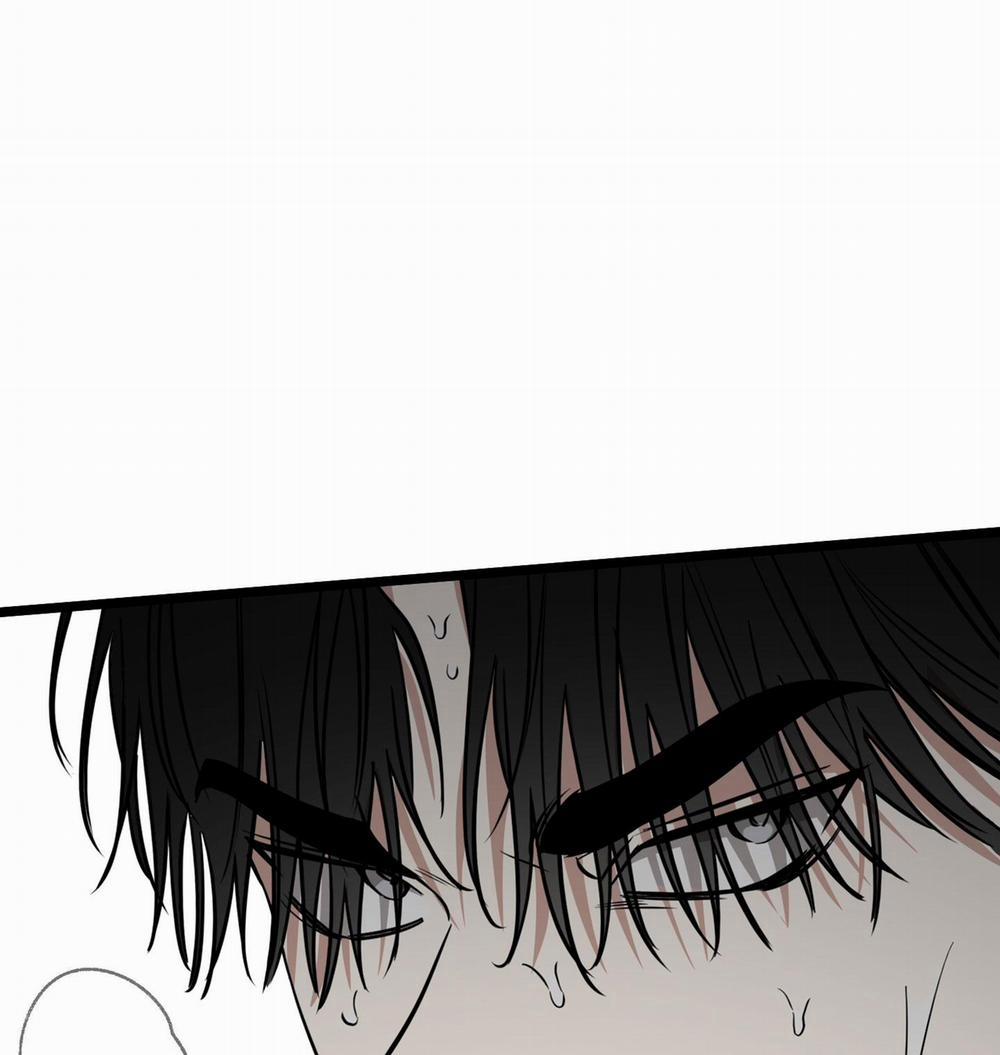 Tôn Kính Và Khát Khao 5 trang 58