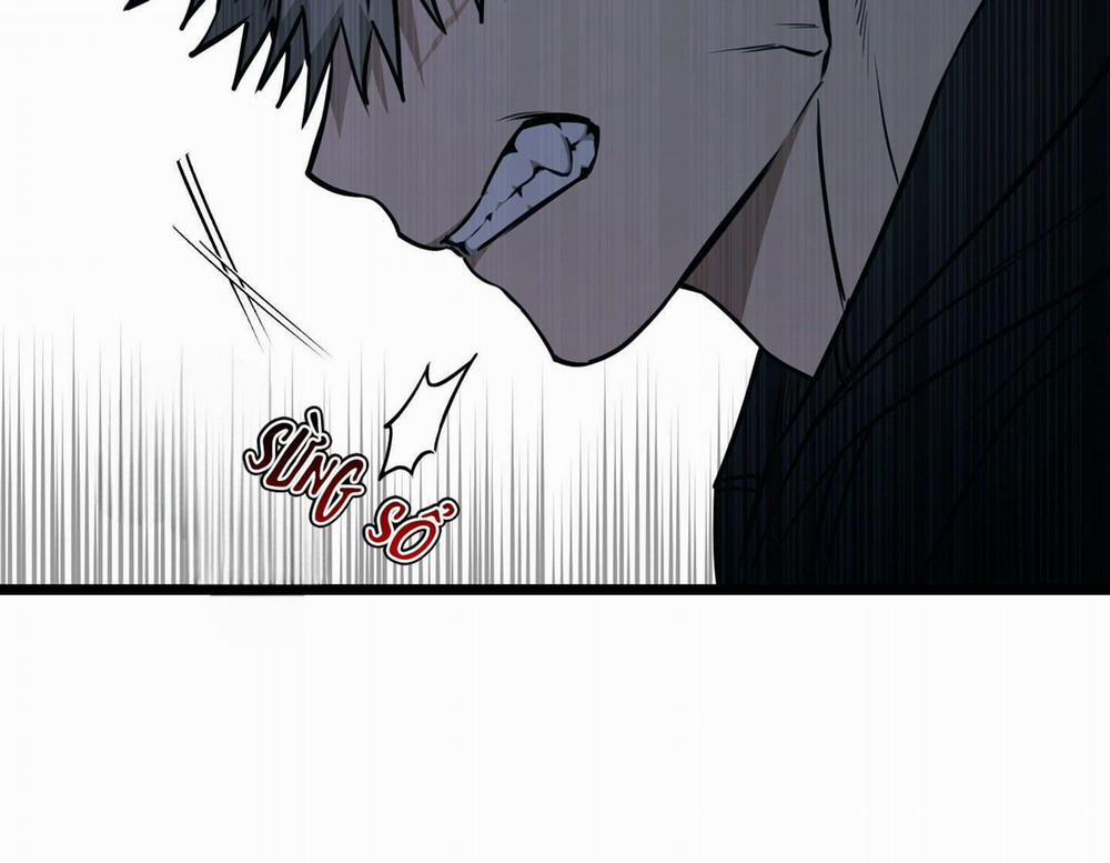 Tôn Kính Và Khát Khao 8 trang 13