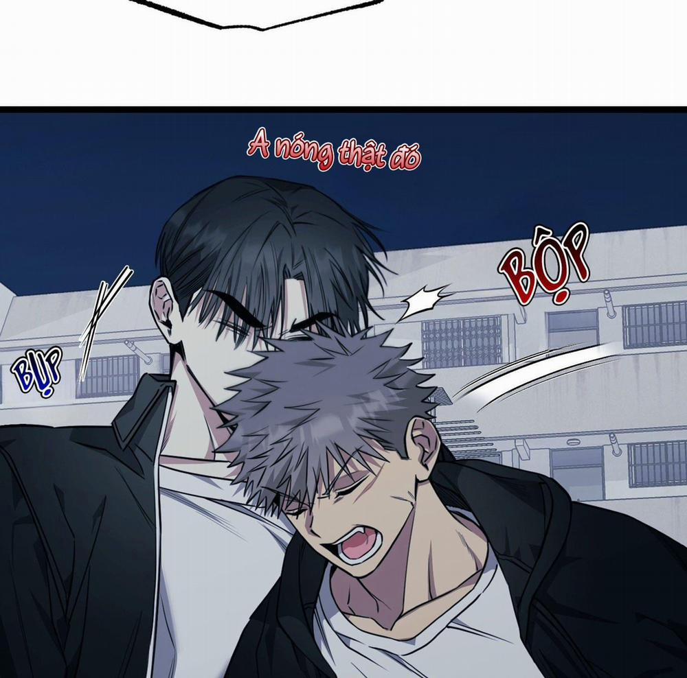 Tôn Kính Và Khát Khao 8 trang 15