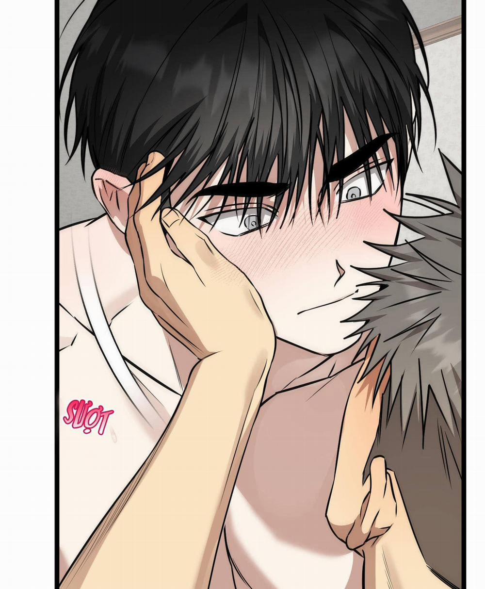 Tôn Kính Và Khát Khao 9 trang 115