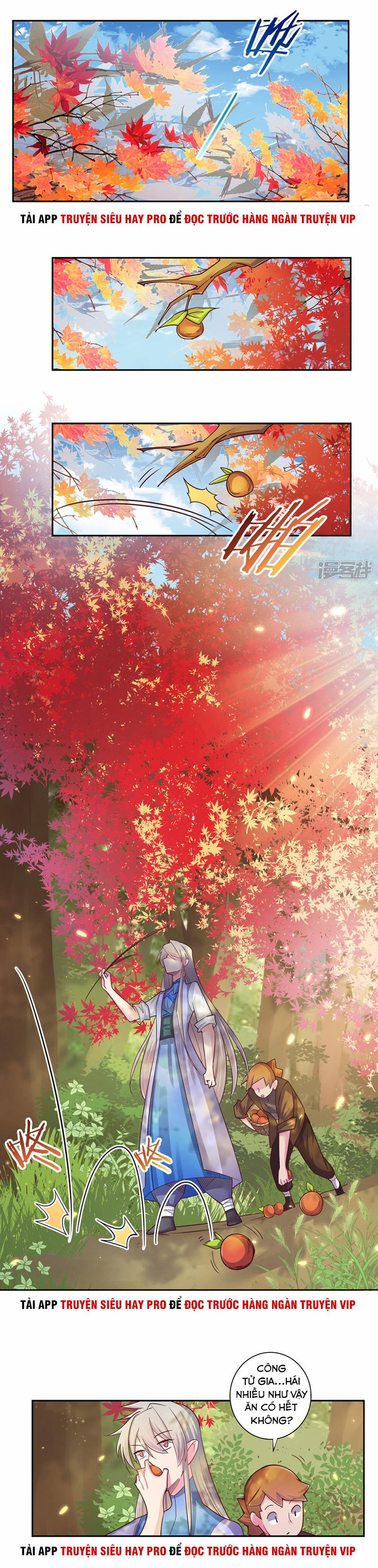 Tôn Thượng 18 trang 8