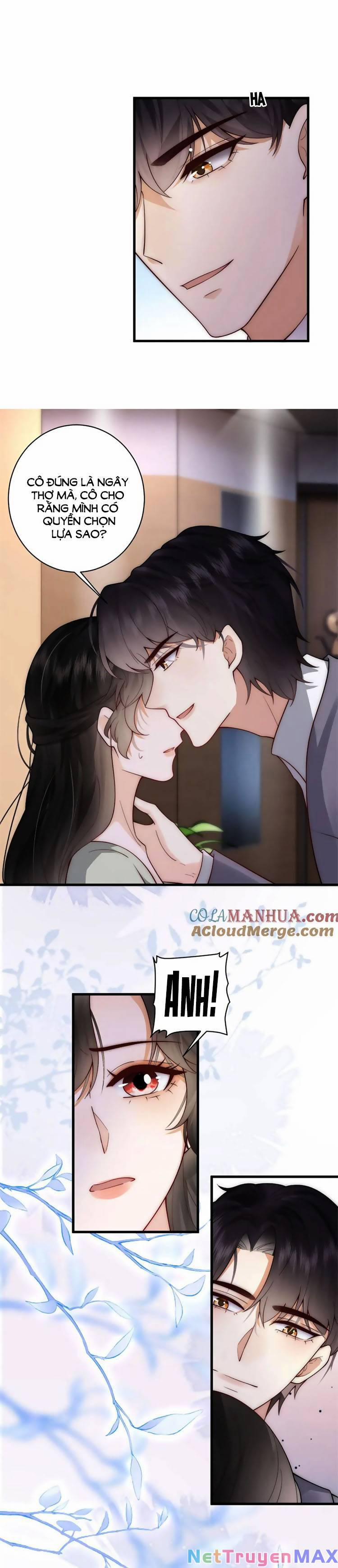 Tôn Trọng Số Mệnh Tra Nam, Buông Bỏ Tình Tiết Giúp Người 22 trang 6