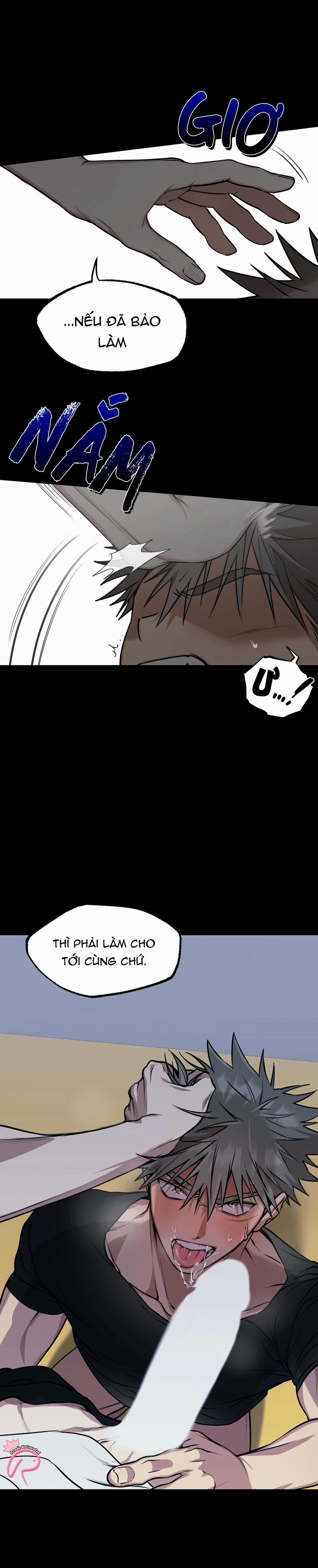 Tôn Trọng Và Ngưỡng Mộ 1 trang 1