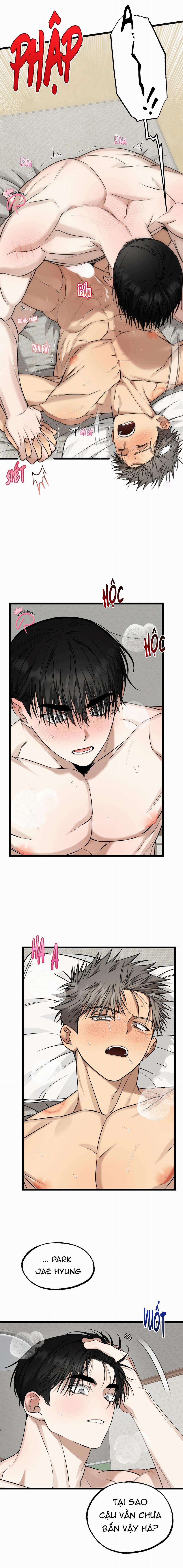 Tôn Trọng Và Ngưỡng Mộ 10 trang 6