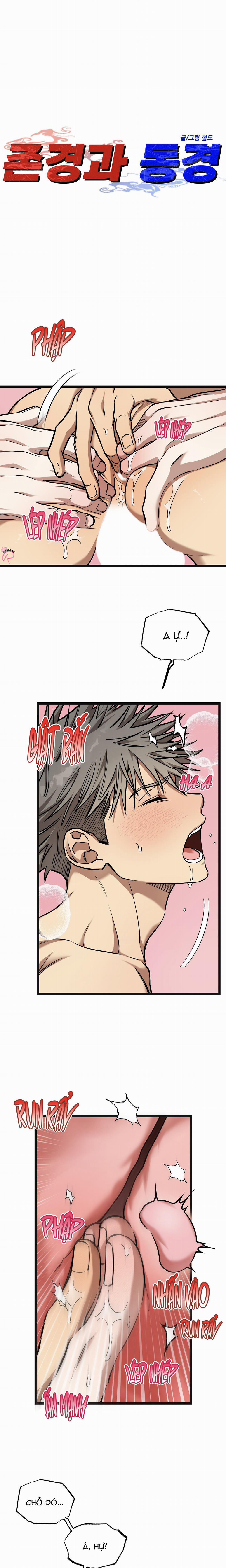 Tôn Trọng Và Ngưỡng Mộ 14 trang 0