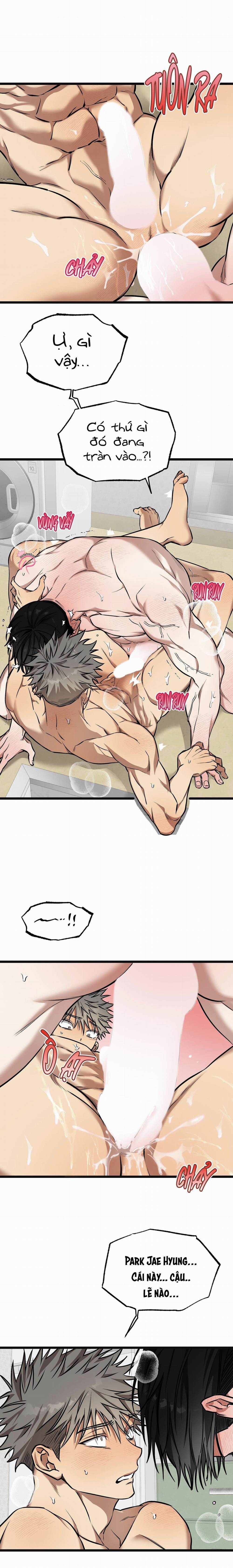 Tôn Trọng Và Ngưỡng Mộ 14 trang 13