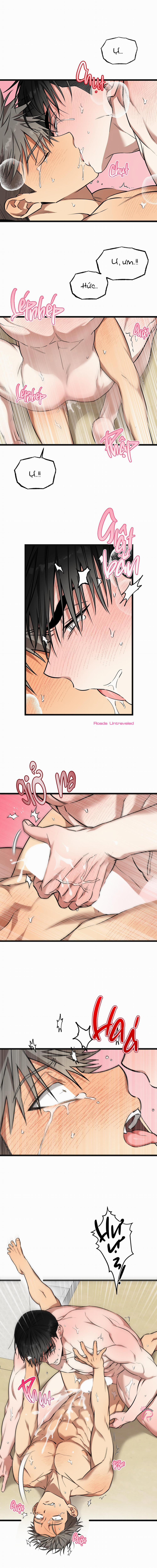 Tôn Trọng Và Ngưỡng Mộ 15 trang 6