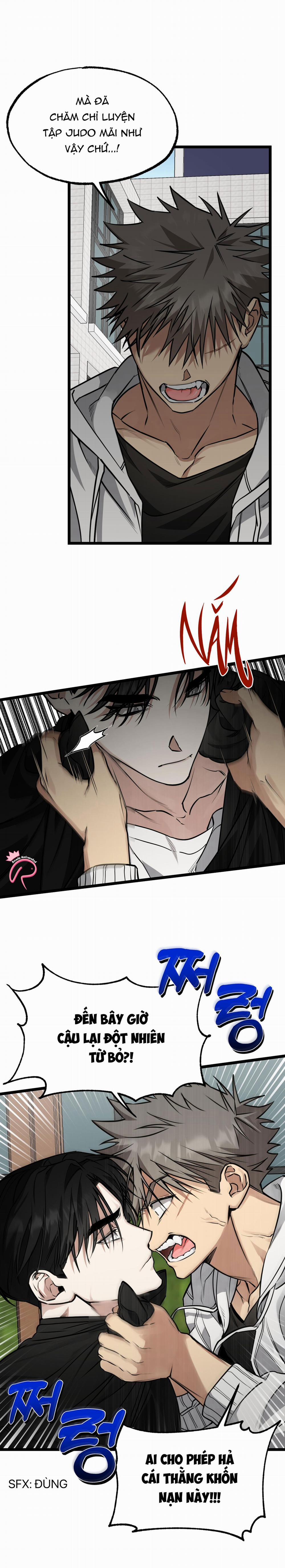 Tôn Trọng Và Ngưỡng Mộ 2 trang 1