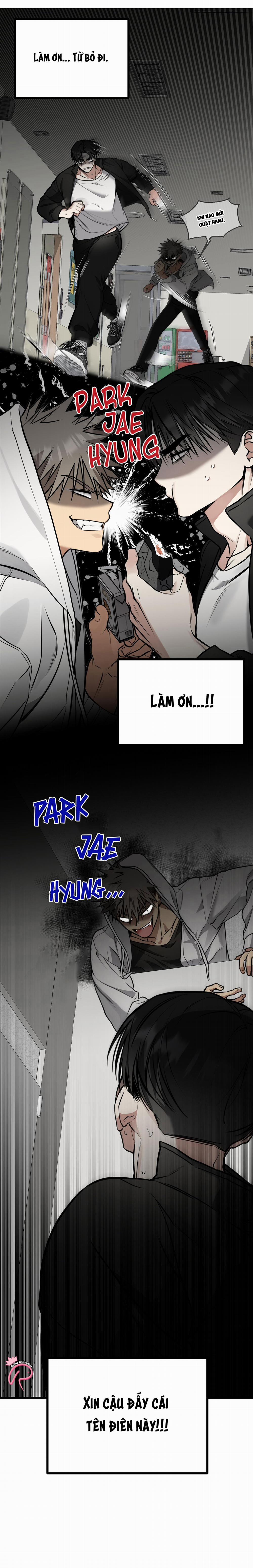 Tôn Trọng Và Ngưỡng Mộ 2 trang 10