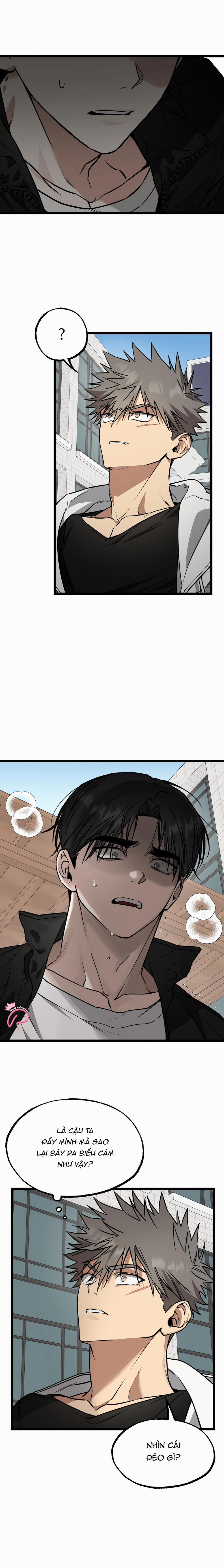 Tôn Trọng Và Ngưỡng Mộ 2 trang 4