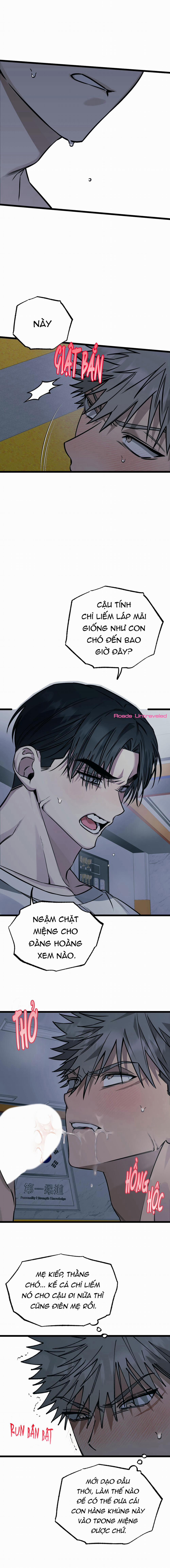 Tôn Trọng Và Ngưỡng Mộ 3 trang 12