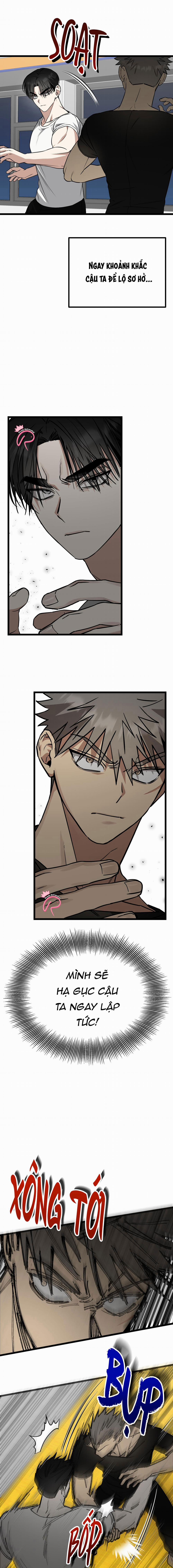 Tôn Trọng Và Ngưỡng Mộ 3 trang 5