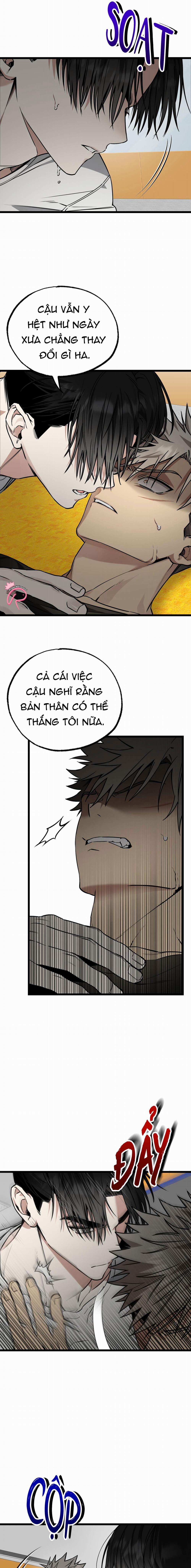 Tôn Trọng Và Ngưỡng Mộ 3 trang 7