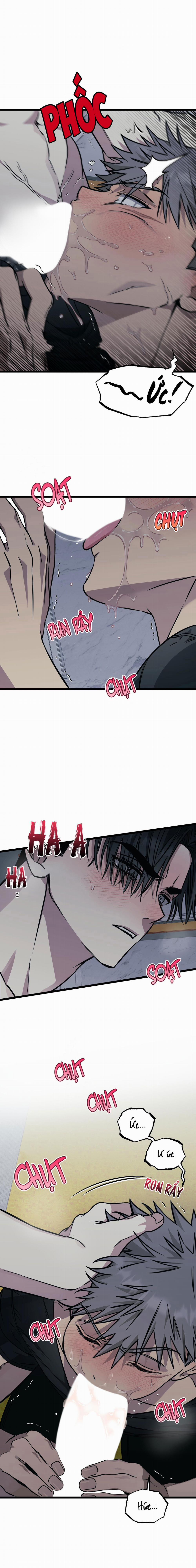 Tôn Trọng Và Ngưỡng Mộ 4 trang 1