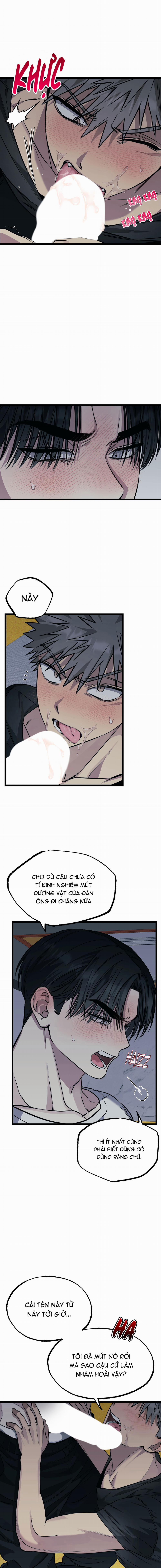 Tôn Trọng Và Ngưỡng Mộ 4 trang 2