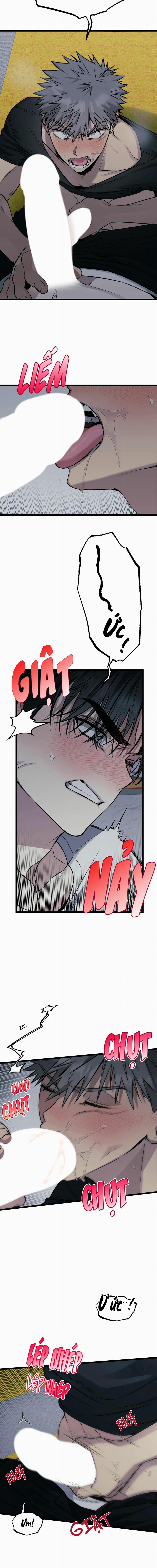 Tôn Trọng Và Ngưỡng Mộ 4 trang 6