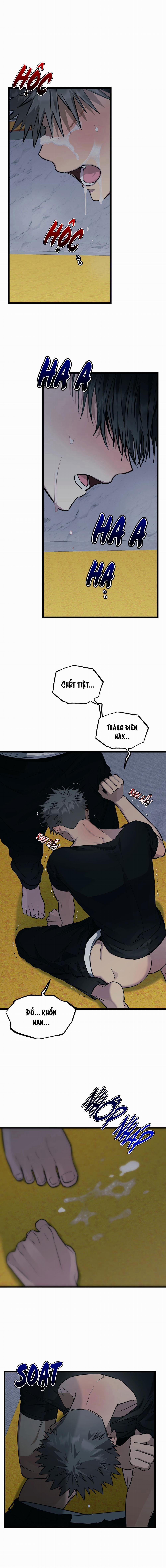 Tôn Trọng Và Ngưỡng Mộ 4 trang 8