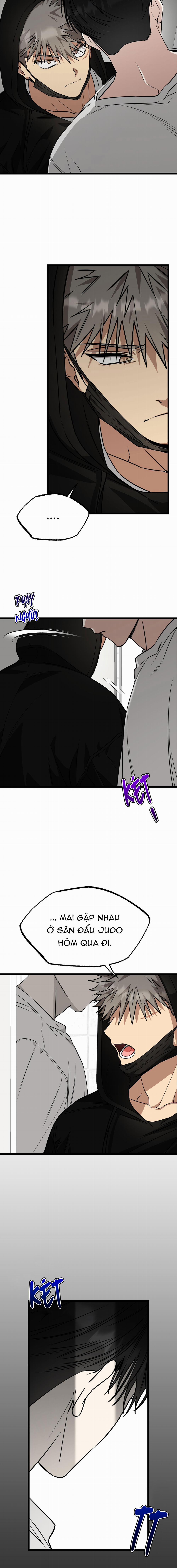 Tôn Trọng Và Ngưỡng Mộ 5 trang 7