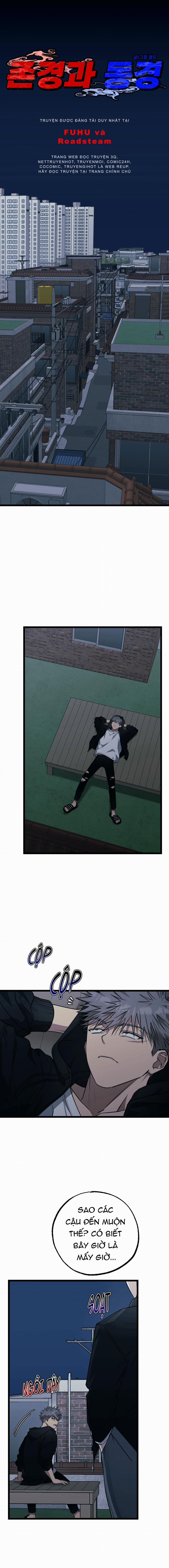 Tôn Trọng Và Ngưỡng Mộ 8 trang 0