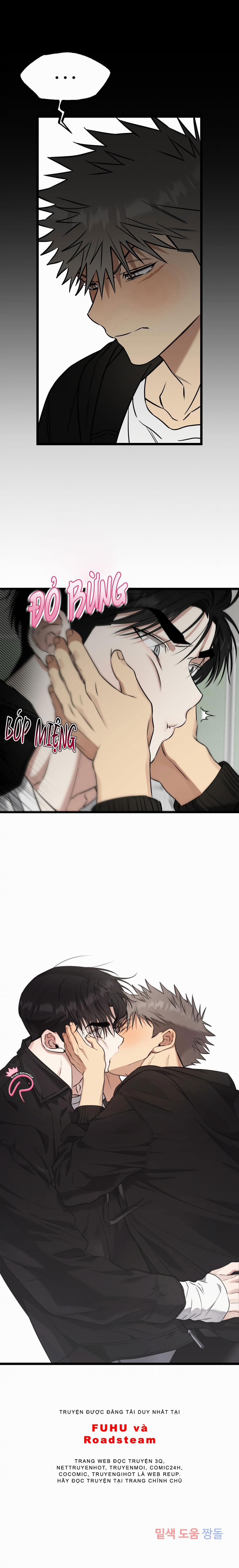 Tôn Trọng Và Ngưỡng Mộ 8 trang 15