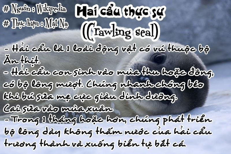 Tổng Hợp Bestiality Oneshot 0 Bé và Dàn Harem Của Hải Cẩu 0 Loli xuất kích!) trang 7