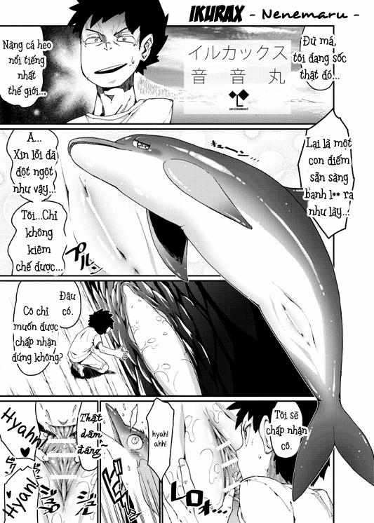 Tổng Hợp Bestiality Oneshot 0 Ikurax 0 Nàng Cá Heo Nứng L** trang 0