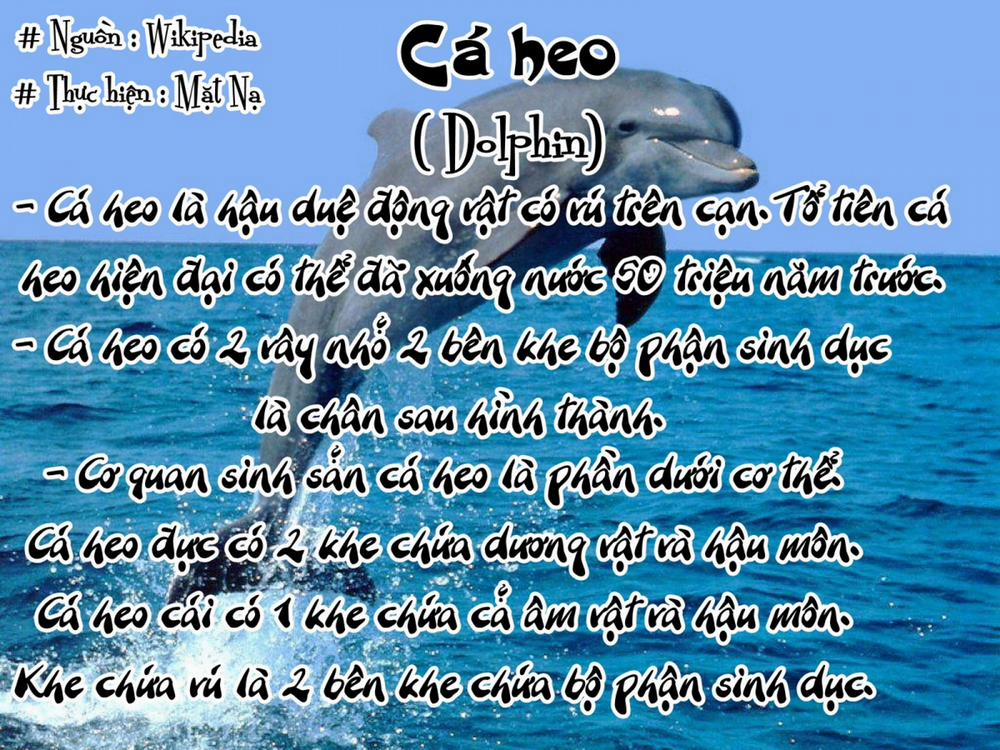 Tổng Hợp Bestiality Oneshot 0 Ikurax 0 Nàng Cá Heo Nứng L** trang 5