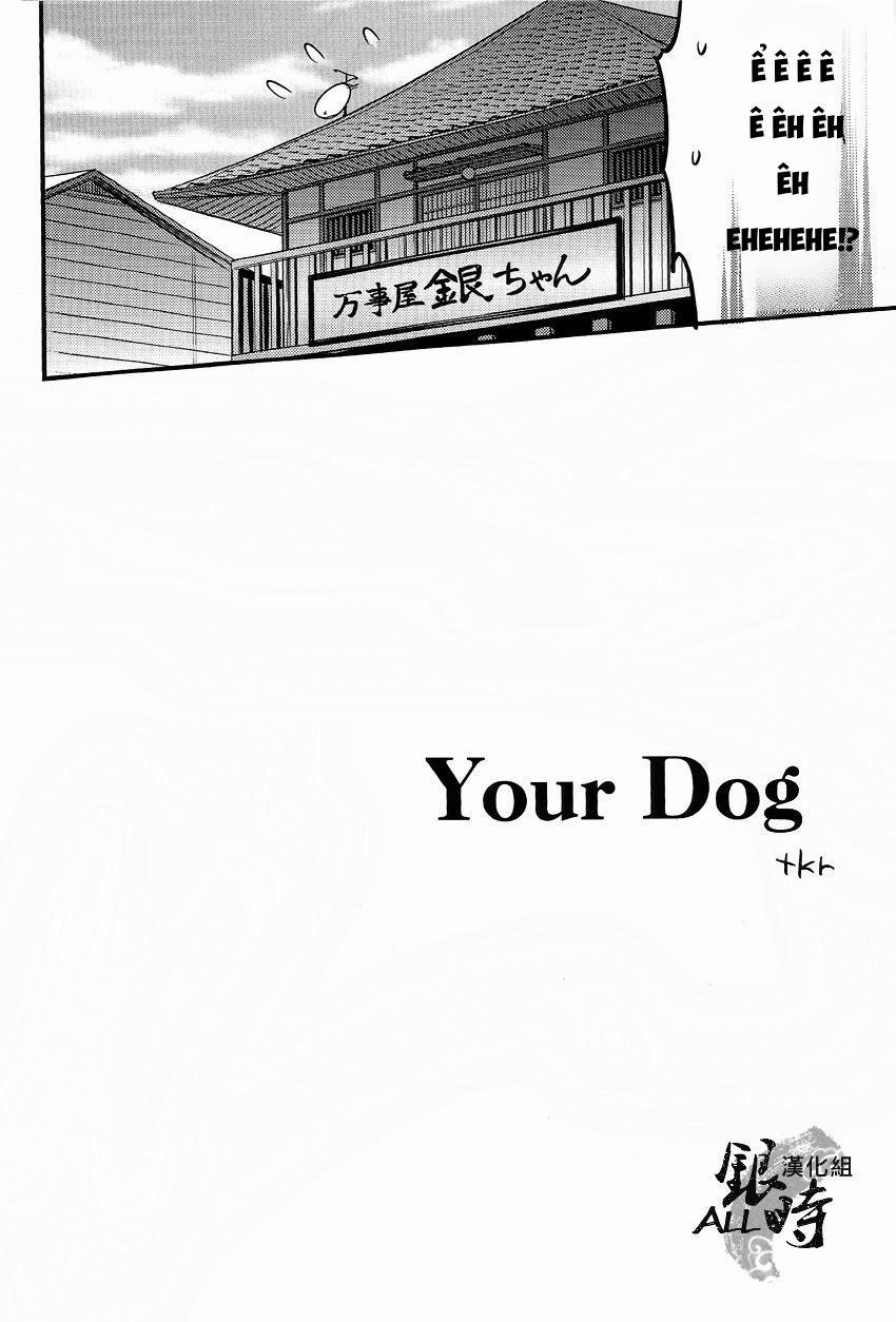 Tổng Hợp Boylove 15 trang 5